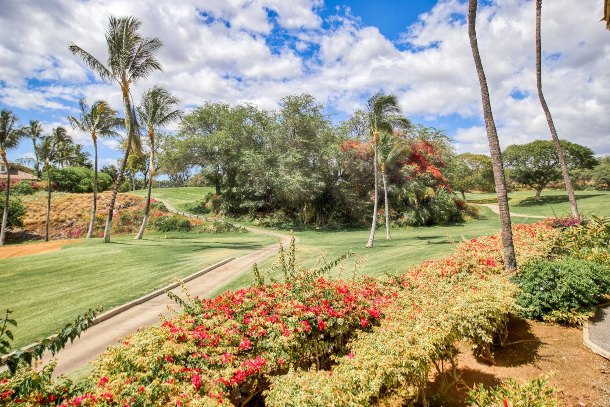 Casa vacanze Wailea Grand Champions *